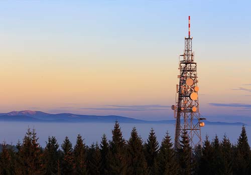 Cellphone Communication Tower In Forest
