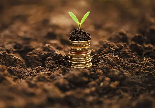 Golden Coins In Soil Retirement Planning Concept