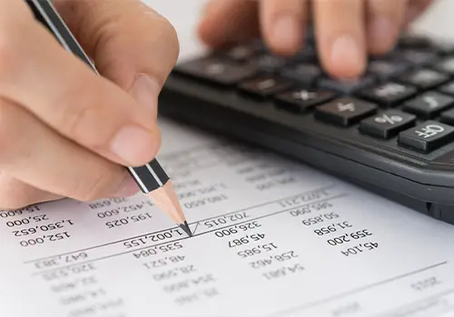 Accountant Verifying Financial Statements 1