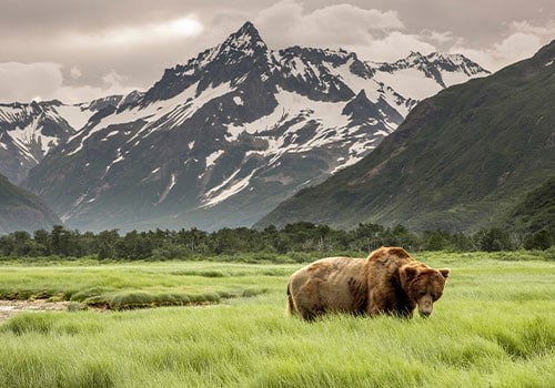 don't retire in alaska