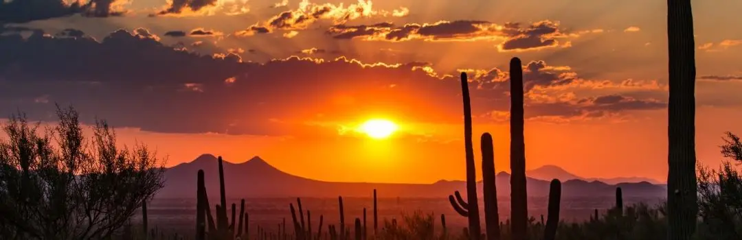 tucson arizona desert